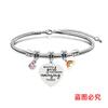 Pulsera de acero inoxidable con diseño de serpiente y hueso de serpiente, conmemorativa de novia, conmemorativa, con arcoíris, de titanio y acero, con grabado de accesorios.