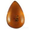 Colgante de ámbar con forma de insecto (escorpión, mariposa, abeja y hormiga), cadena larga para suéter, venta al por mayor