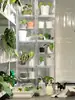 Caixa de Criação em Acrílico, Caixa Totalmente Transparente à Prova de Vento e Isolada, Caixa de Viveiro para Plantas Tropicais e Bonsai, Armário Doméstico para Aquecimento de Plantas