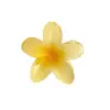 Pinza Popular Transfronteriza Europea y Americana de Plumeria para Mujer, Pasador Versátil de Colores, Pinza para Coleta Alta, Accesorio para el Cabello