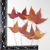Hoja de Arce Rojo Flor Seca Espécimen de Planta en Relieve Enseñanza Pegamento Funda para Teléfono Móvil Marcapáginas Hecho a Mano para Niños Marco de Fotos Calcomanía en Relieve