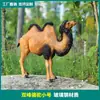 Adornos de Animales Simulados para Exteriores, Esculturas Grandes de Camello de Fibra de Vidrio para Decoración de Paisajismo de Parques y Espacios Verdes Comunitarios, Manualidades