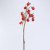 Fruta Simulada Caqui Caqui Viejo Cuervo Decoración de Sala de Estar Fruta de la Fortuna Planta Verde Flor Artificial Mini Corazón Caqui Pato Viejo Dulce