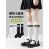 Calcetines de Verano para Niños de Malla de Algodón Puro Color Sólido Blanco y Negro de Media Pantorrilla Calcetines de Rendimiento Absorbentes de Sudor Calcetines Largos Calcetines del Día del Niño