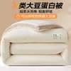Colcha de fibra de soja tridimensional estilo minimalista Clase A, engrosada y cálida, adecuada para otoño e invierno, colcha para todas las estaciones, colcha de doble capa, colcha para dormitorio