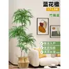 Planta Viva Jacaranda Sala de Estar Planta Grande en Maceta Interior Fácil de Mantener de Pie Flor Real Paisaje Jardinería para Absorber Formaldehído