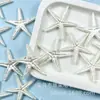 Colgante de concha de color perla artificial acrílica con agujeros, cuentas perforadas de color concha de estrella de mar y caracola para accesorios de joyería DIY