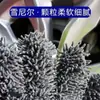 Luvas de Limpeza para Carro em Chenille Dupla Face Cinco Dedos Pelúcia Impermeável Esponja Espessa Limpeza de Rodas Lavagem de Carro Limpeza