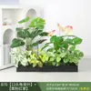 Paisagismo com Plantas Verdes Simulação Floreira Divisória de Piso Arte Floral de Chão Paisagem de Plantas Combinação de Floreira Flor Artificial em Vaso Bonsai Decoração
