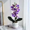Planta em Vaso de Orquídea Phalaenopsis Artificial, Arranjo de Flores Falsas para Decoração de Sala de Estar e Mesa de Jantar, Buquê de Flores, Decoração Floral de Casamento com um Toque de Luxo