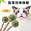 Brinquedo para Gato Bola de Catnip para Gato Grama de Gato Autoentretenimento Descompressão Noz de Galho Bola Oca para Mastigar Moer Vara para Provocar Gato Brinquedo para Pet