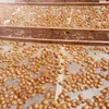 Paquete de ingredientes para sopa de abulón pequeño de siete estrellas, abulón Buddha Jiaoqiang, abulón de piedra seco, mariscos, no listo para comer
