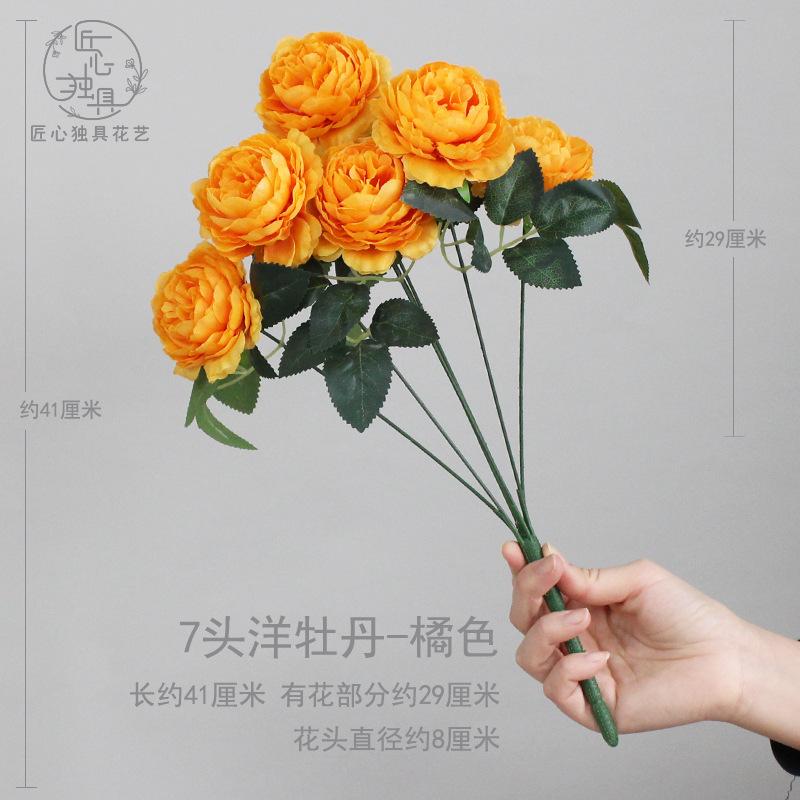 7头洋牡丹-橘色