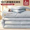 Novo enchimento de edredom de algodão de Xinjiang 2026, edredom de inverno espesso, edredom para primavera e outono, roupa de cama de algodão para uma pessoa para dormitórios, adequado para todas as estações