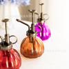 Regadera de Vidrio Retro Forma de Calabaza Pequeña Herramienta de Jardinería Maceta para Regar Plantas Suculentas de Escritorio Venta al por Mayor Transfronteriza