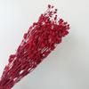 Yunnan flor eterna fruta de amante flor de apio espinoso pequeño material de flor seca diy ramo de flor seca ins decoración del hogar arreglo floral flor en botella flotante
