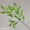 Jinhua Secret Flower House Crafts Co., Ltd. Plantas Verdes Bosque Serie Flores Flores Verdes Corea
