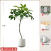 Planta verde artificial con hojas grandes, sombrilla para sala de estar, maceta grande, de alta gama, ligera, de lujo, biónica, adorno de árbol falso.