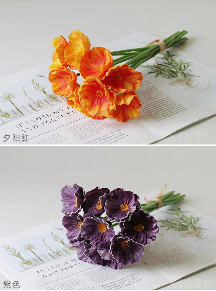罂粟_08.jpg