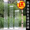 Tk Cubo de Agua de Plástico Profundo Cilíndrico Alto Cubo de Prueba Transparente Cubo Acrílico Extra Grande Engrosado