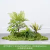 Planta Artificial Empilhada para Paisagismo Sob Escada, Samambaia & Pteri