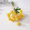 Ailala Ouriço Fruta Mão Nota Simulação Flor Fabricante Flor Artificial Plantas Verdes Atacado Decoração de Casamento Artesanato Estilo INS