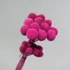 Ramo de flores secas DIY con bolas doradas, 20 ramas, adornos florales inmortales, estilo escandinavo, material fotográfico decorativo, paquete, fabricante de Yunnan