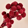Bolas Doradas del Fabricante, Flores Naturales Reales, Materiales para Manualidades, Decoración del Hogar para la Sala de Estar, Arreglos Florales, Adornos de Flores Secas, Martillos Dorados