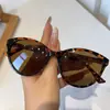 Gafas de Sol Retro para Playa de Estilo Nuevo, Gafas de Sol de Moda Retro Trendy con Montura Redonda Pequeña, Gafas de Sol para Conducir