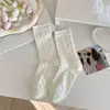 Meias de Malha Fina para Primavera e Verão Sem Costura com Laço de Fita Meias Amontoadas Meias Médias Vazadas Pés Respiráveis e Sem Sufocamento