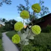 Arreglo artificial de flores de margarita de 5 cabezas, accesorios florales de boda, decoración de salón de bodas, flores de seda de diente de león, margaritas de bola pequeña