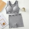 Ropa Interior Deportiva Transfronteriza para Mujer Levanta Busto Anti-caída Sin Aros Sujetador A Prueba de Impactos Chaleco de Fitness para Correr Yoga para Mujer