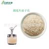 Cáscara de Psyllium, Planta Natural India, Ingrediente para Hornear Sustituto de Comida Dieta Cetogénica, Fibra Dietética Vegetal Soluble en Agua