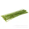 Tallos de Flores Artificiales Materiales DIY para Arreglos Florales, Tallos de Plantas Florales, Ramilletes de Rosas con Accesorios de Varilla de Alambre de Hierro Venta al por Mayor