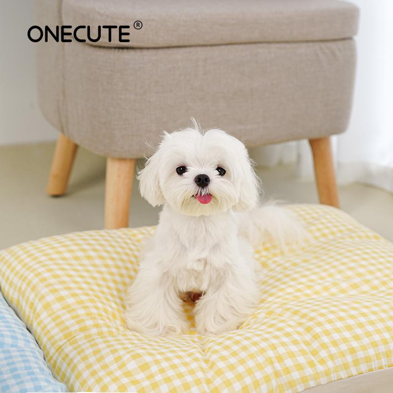 B01_蓝黄格子 (3)