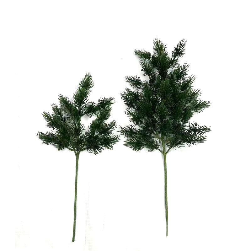 蓬莱松 (1).jpg