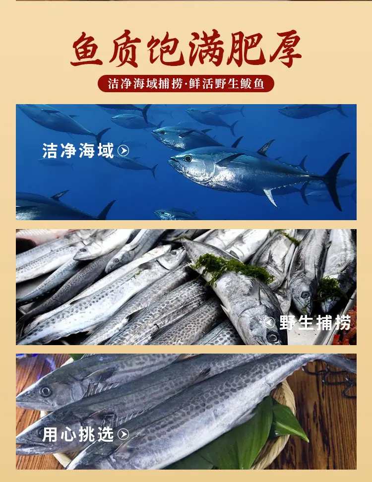 鲅鱼酱_02.jpg