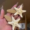 Pinza para el cabello de estrella de mar súper hada de playa navideña estilo vacacional flequillo lateral grande postizos accesorios para el cabello 2025 nuevo tocado