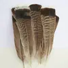 Venda Direta de Fábrica de Quase 100 Tipos de Acessórios Naturais de Penas Pequenas para Joias DIY, Acessórios de Cabeça, Broches, Chapéus, Materiais de Decoração para Artesanato