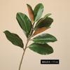Película de Planta Simulada Escandinava Tacto Hoja de Piano Bosque Estilo Hoja de Baniano Magnolia Plantas Verdes Decorativas para Hogar Boda Sala Modelo