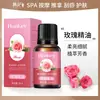 Óleos Essenciais de Rosa Coreana e Planta de Artemísia para Salões de Beleza, Massagem Gua Sha, Cuidados com a Pele, Óleo Corporal e Óleos Essenciais Compostos de Agarwood Atacado