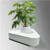 Banco de piscina Huangli FRP con forma de árbol, silla grande personalizada para exteriores, parterre de flores, exhibición comercial en aeropuertos, escultura de jardín paisajístico.