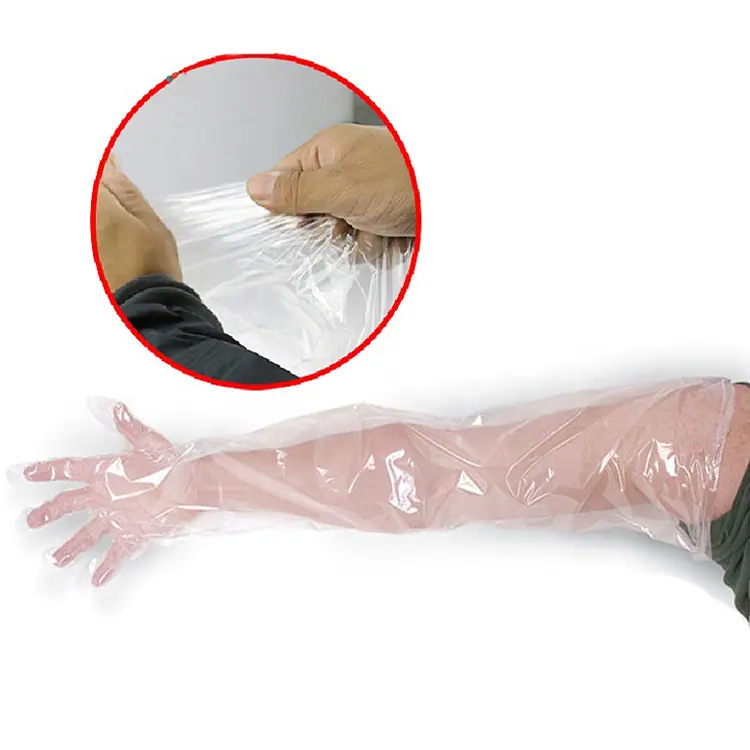 24 veterinary glove