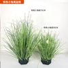 Plantas Verdes Artificiais, Capim Rabo de Cachorro, Capim Lagarta, Decoração de Chão para Vitrine, Capim Juncos, Decoração Suave, Enfeites de Bonsai, Fabricante de Grama