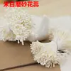 Estames de malte pistilos bastões retorcidos materiais feitos à mão fondant gesso flor de lótus flor de veludo flores embrulhadas centros de flores amarelas