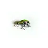 Nova Isca Minnow 3,7g 37mm Minnow Flutuante Robalo Aspisca Isca Dura Isca Artificial Minnow