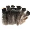 80 Tipos de Penas Naturais de Faisão, Penas Reais, Decorações Nativas Americanas, Acessórios DIY, Acessórios de Cabelo, Peças para Brinquedo de Vara para Gato