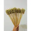 Brochetas populares para snacks en línea, brochetas comerciales, brochetas fritas, productos semielaborados, brochetas picantes revolucionarias, brochetas para olla caliente, brochetas de res picantes
