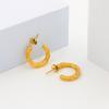 Pendientes Irregulares de Luna Europeos y Americanos de Lujo Ligero Pendientes Altos para Mujer Acero de Titanio Acero Inoxidable Vacío Color 18K Conservación YS166