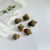 Pendientes de Planta Fruta Bellota Hechos a Mano DIY Fruta Pendientes Personalizados Creativos Material Chica Linda Pendientes Retro